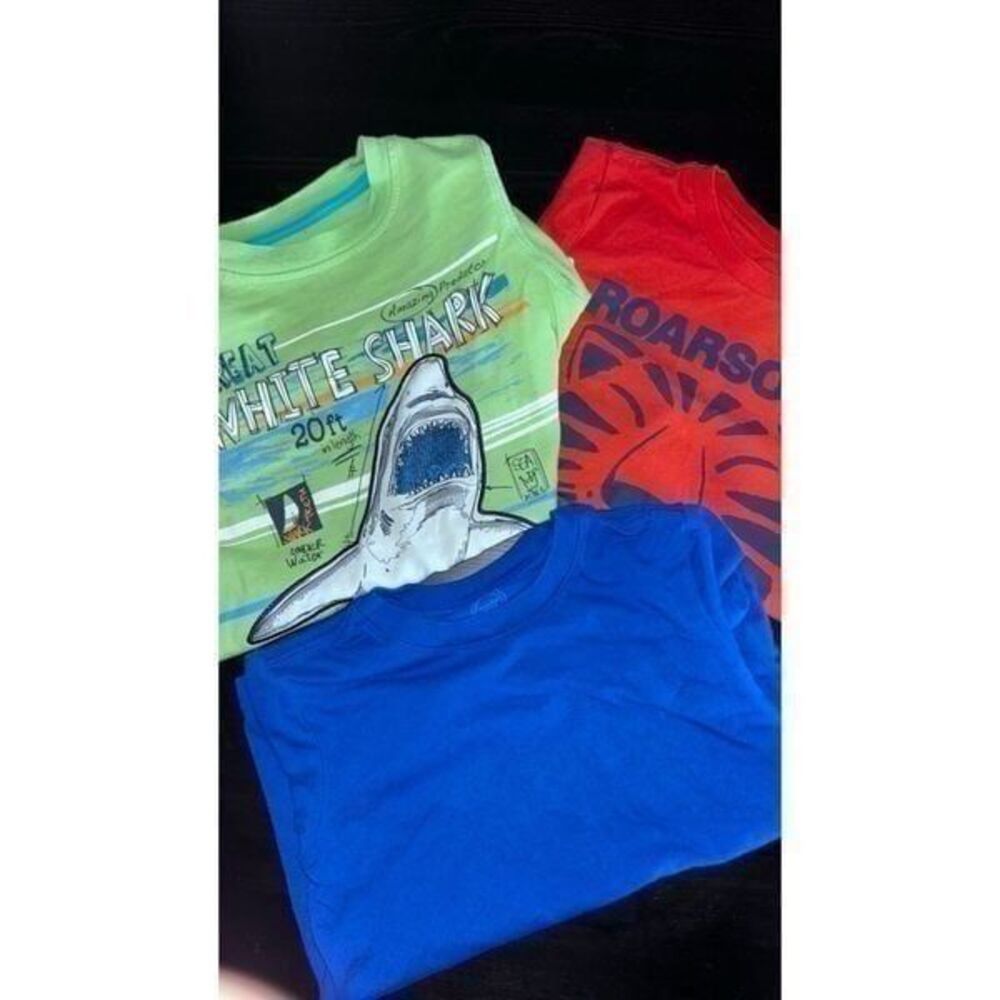 Boys short sleeve t shirt size 5 green, blue and orange children place